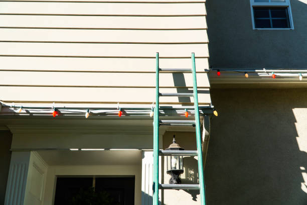 Trusted Agua Dulce, TX Siding Experts